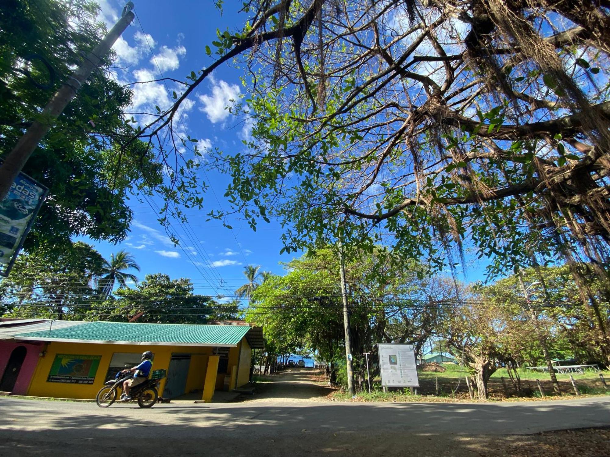 Cabinas Surf Arribadas Ostional Wildlife Refuge Ngoại thất bức ảnh